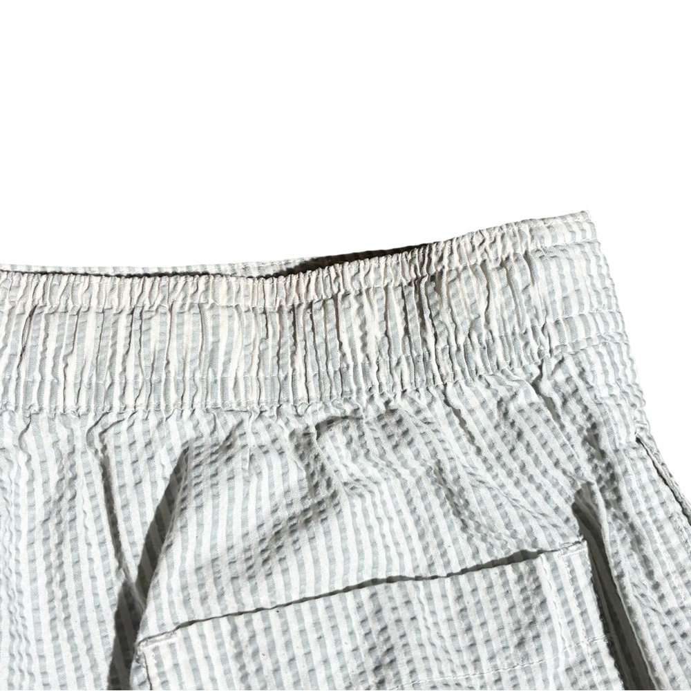 Allsaints Seersucker Swim Trunks Shorts - Picture 4 of 6
